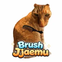 Brush Jjaemu Brush Jjaemu